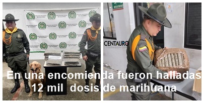 En una encomienda fueron halladas 12 mil dosis de marihuana