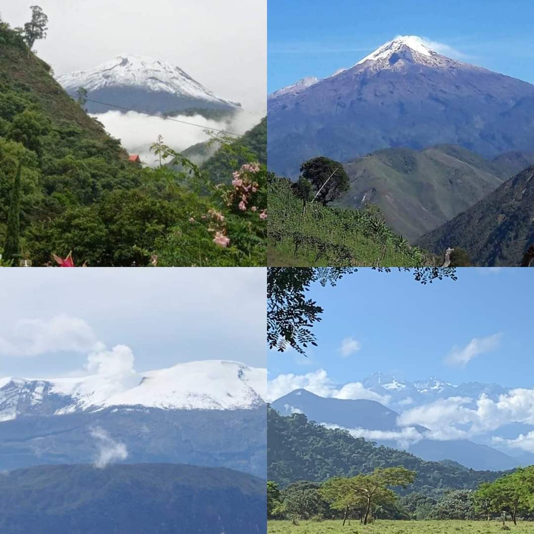 Hoy Día Mundial de la Educación Ambiental.