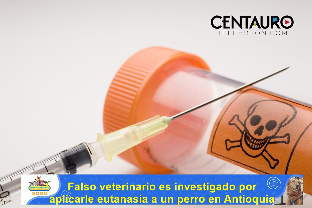 Falso veterinario es investigado por aplicarle eutanasia a un perro en Antioquia