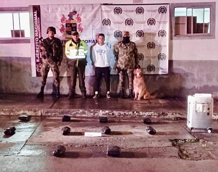 10 mil dosis de marihuana fueron incautados por el Ejército Nacional en el Tolima