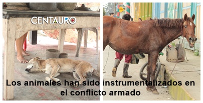 Los animales han sido instrumentalizados en el conflicto armado