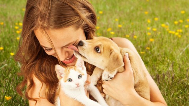 Estos son los riesgos de dejar que perros o gatos den ‘besos’ en la cara