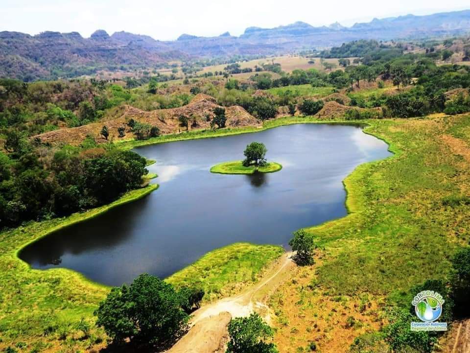 Hoy Día Mundial del Agua, un bien precioso , que debemos cuidar.