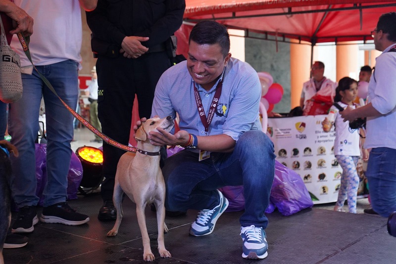 Gracias al convenio entre UT y Gobernación del Tolima, dos mil mascotas y animales de la calle fueron atendidos