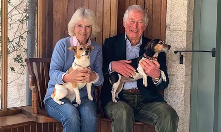 “Bluebell” y “Beth”: las nuevas mascotas reales que muy pronto vivirán en Buckingham