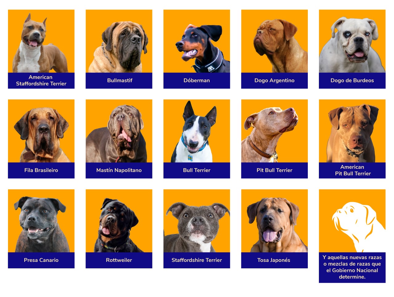 Con Pelos y señales la Campaña para sensibilizar sobre la tenencia de caninos de manejo especial.