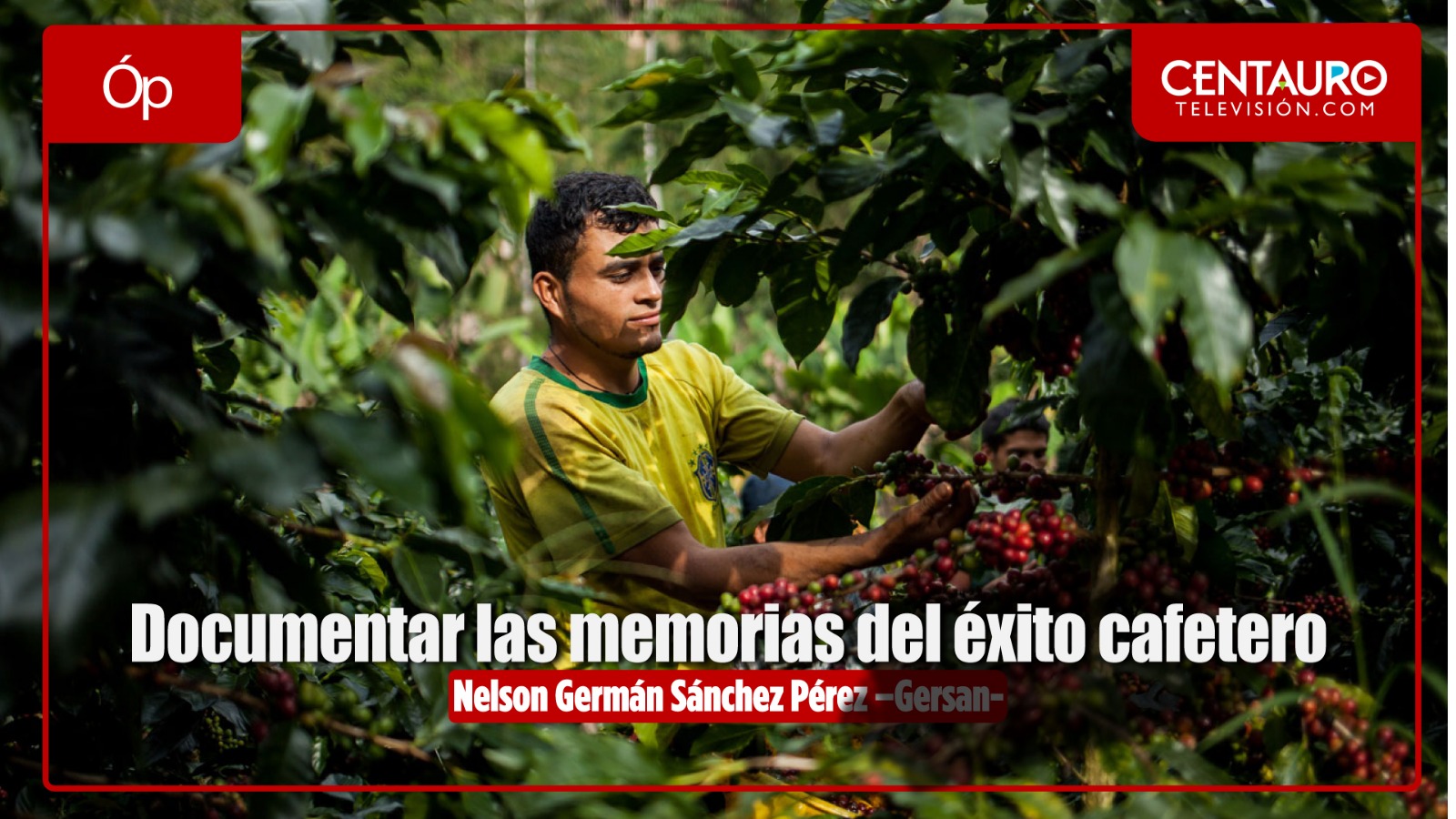 Documentar las memorias del éxito cafetero