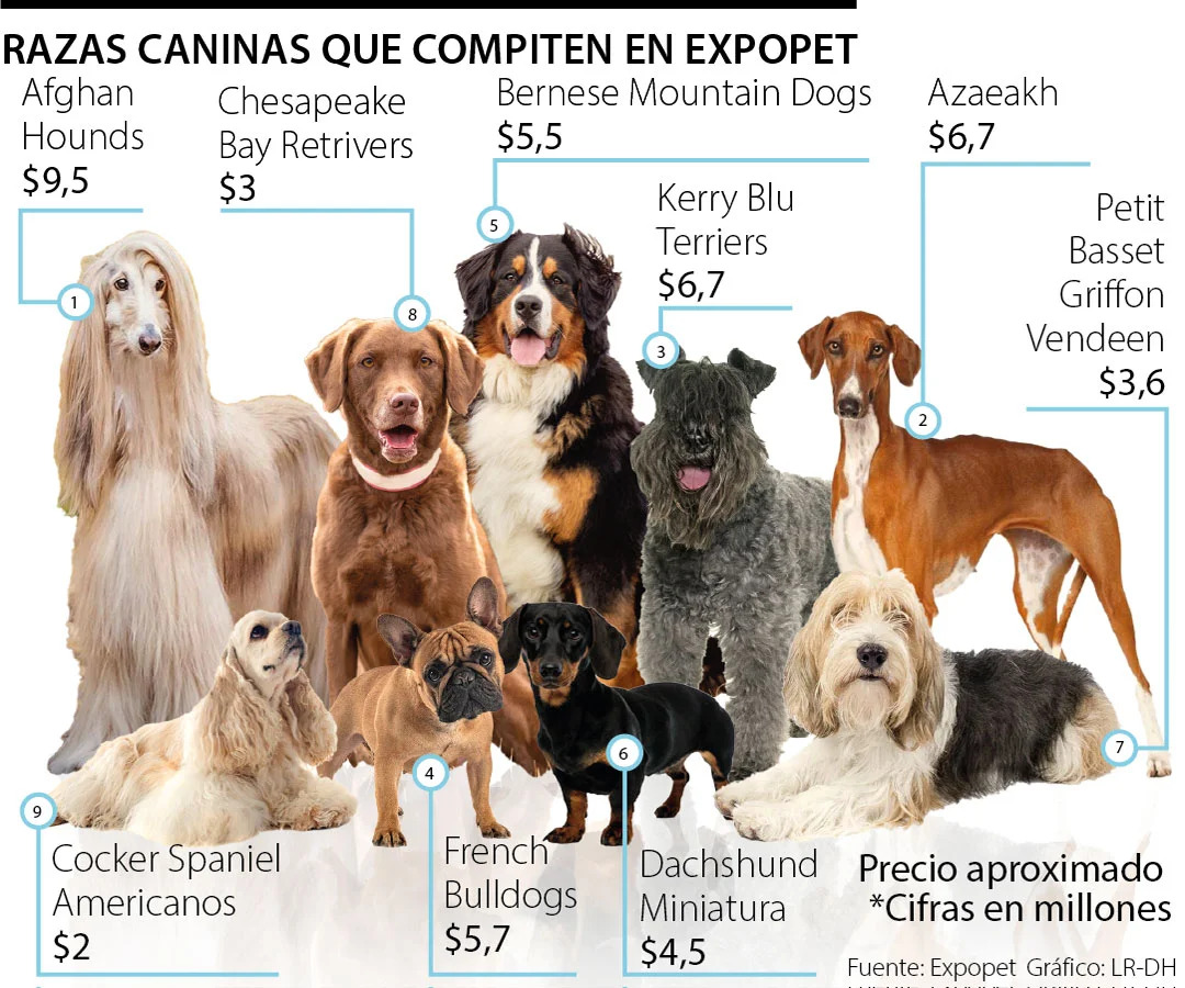 Razas caninas de más de $10 millones compiten en Expopet.