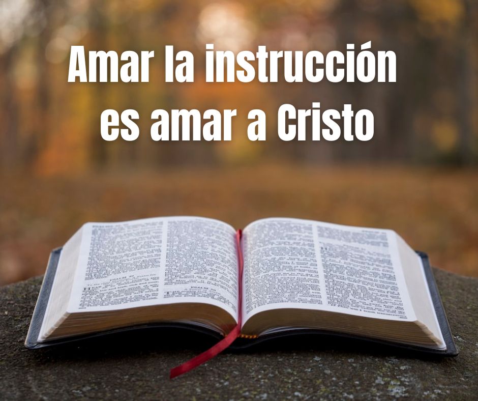 Amar la instrucción es amar a Cristo.