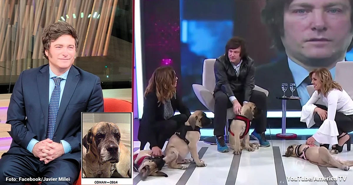 Javier Milei elegido el nuevo Presidente de Argentina y su enferma locura por sus 4 perros ingleses clonados