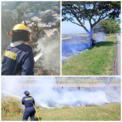 Aumentan los incendios forestales en Ibagué