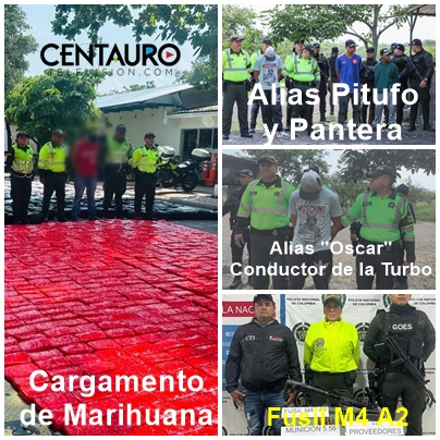 Duro golpe al narcotráfico en el Tolima, 6.6 toneladas de estupefacientes incautadas en lo corrido del 2024