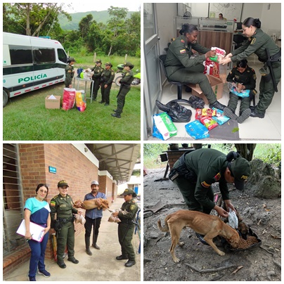 Día Mundial de la Esterilización Animal