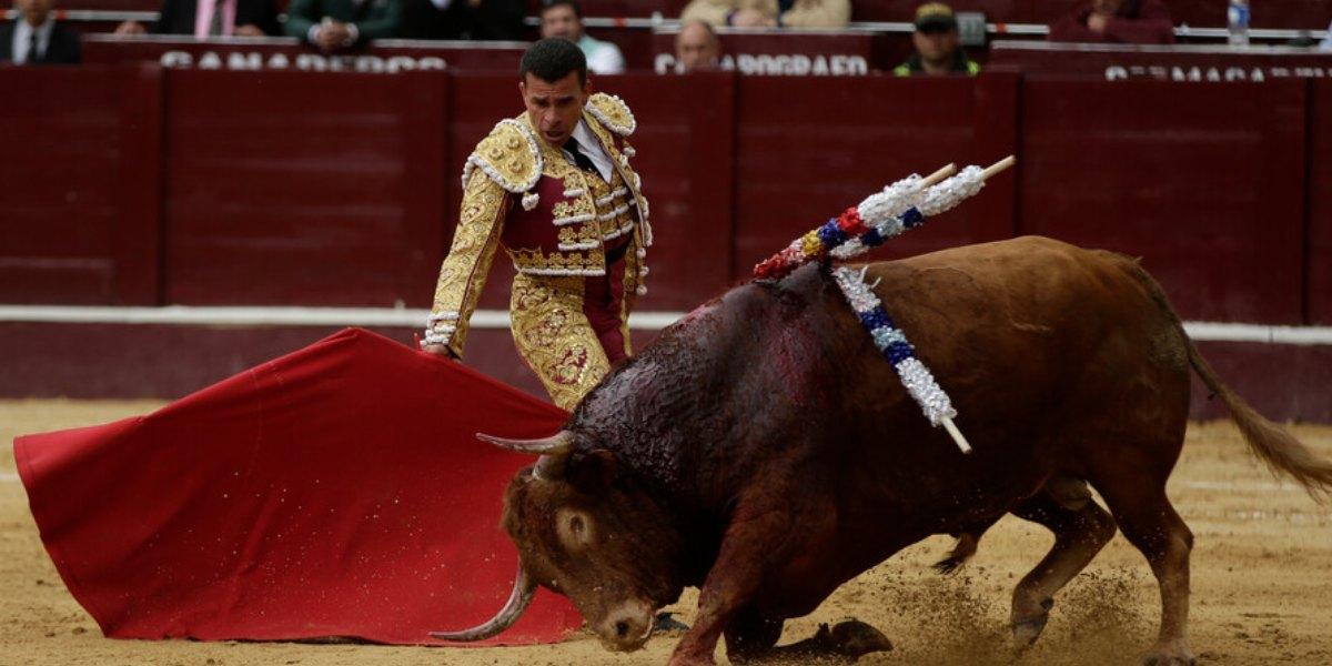 Por primera vez, Prohibición de corridas de toros está a un paso de ser Ley