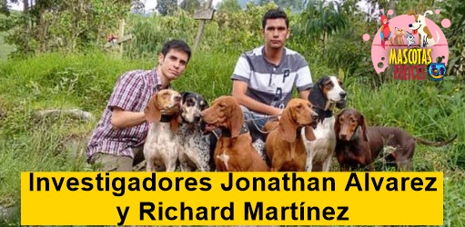 Sabueso fino colombiano, la única raza de perro del país que existe desde hace dos siglos