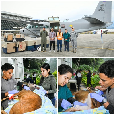 CORTOLIMA hace entrega al Parque de Conservación Animales Silvestres