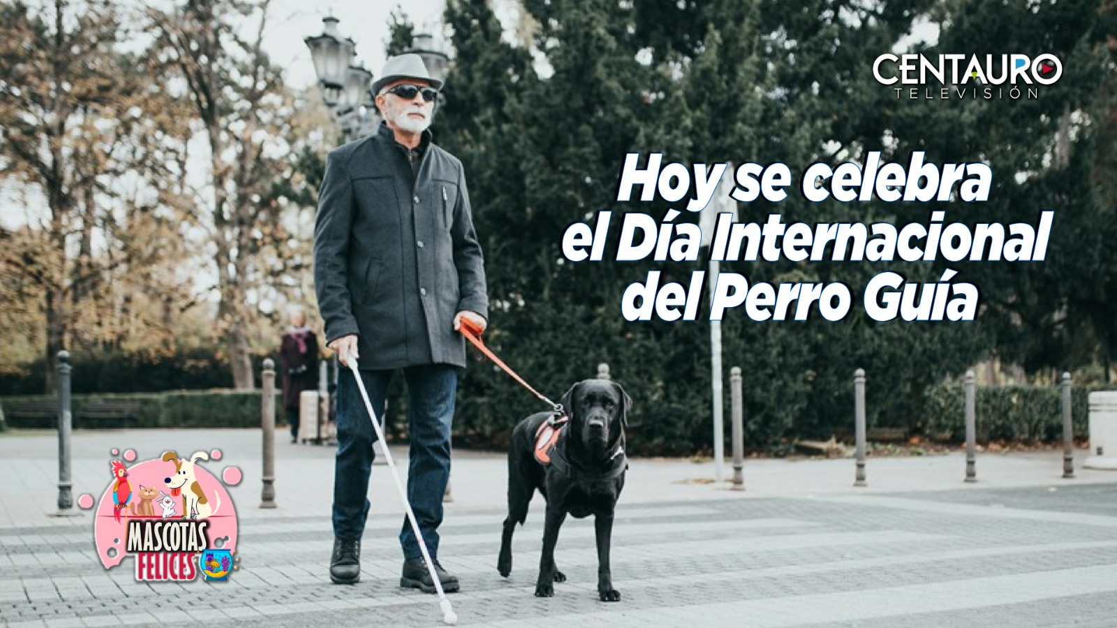 Día Internacional del Perro Guía