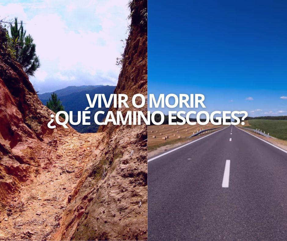 VIVIR O MORIR ¿QUÉ CAMINO ESCOGES?