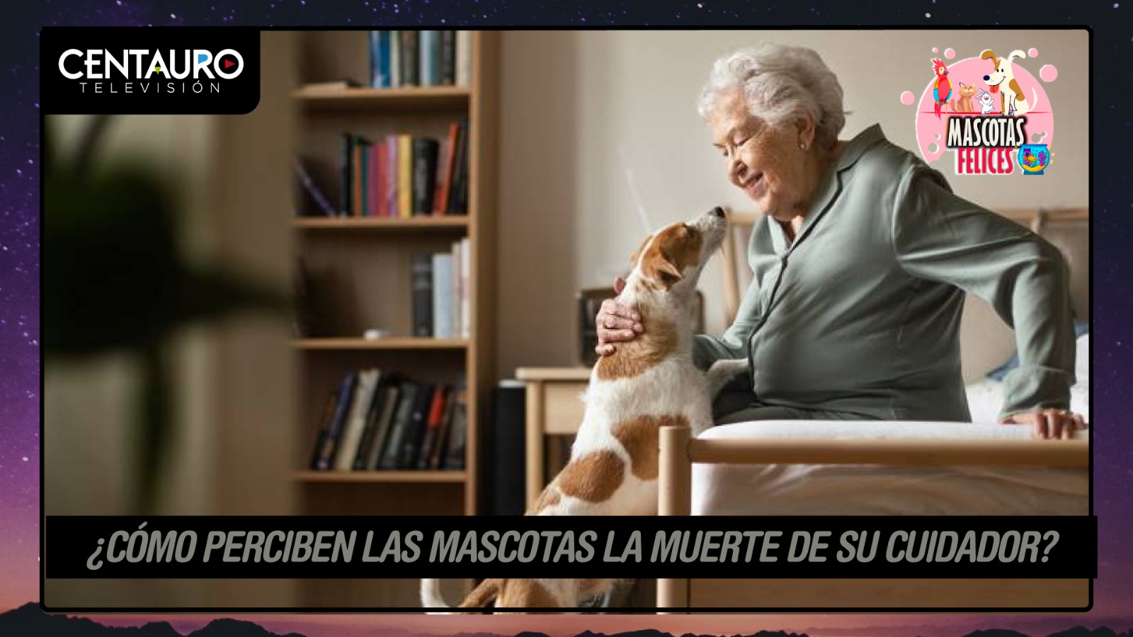 ¿Cómo perciben las mascotas la muerte de su cuidador?