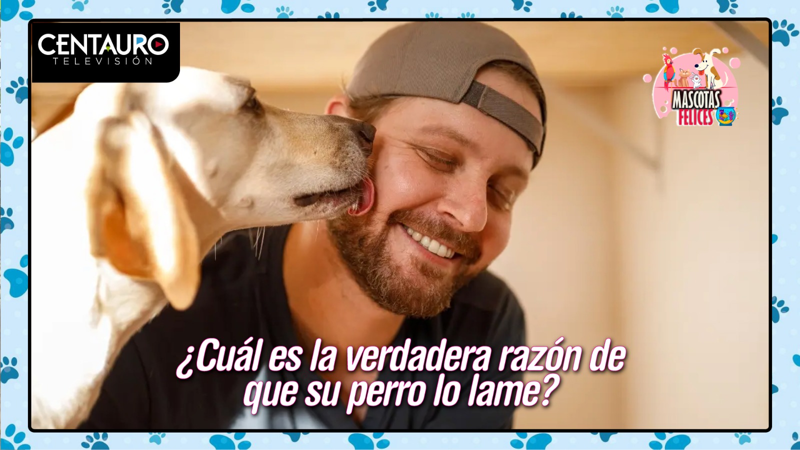 ¿Cuál es la verdadera razón de que su perro lo lame? No sería solo por cariño