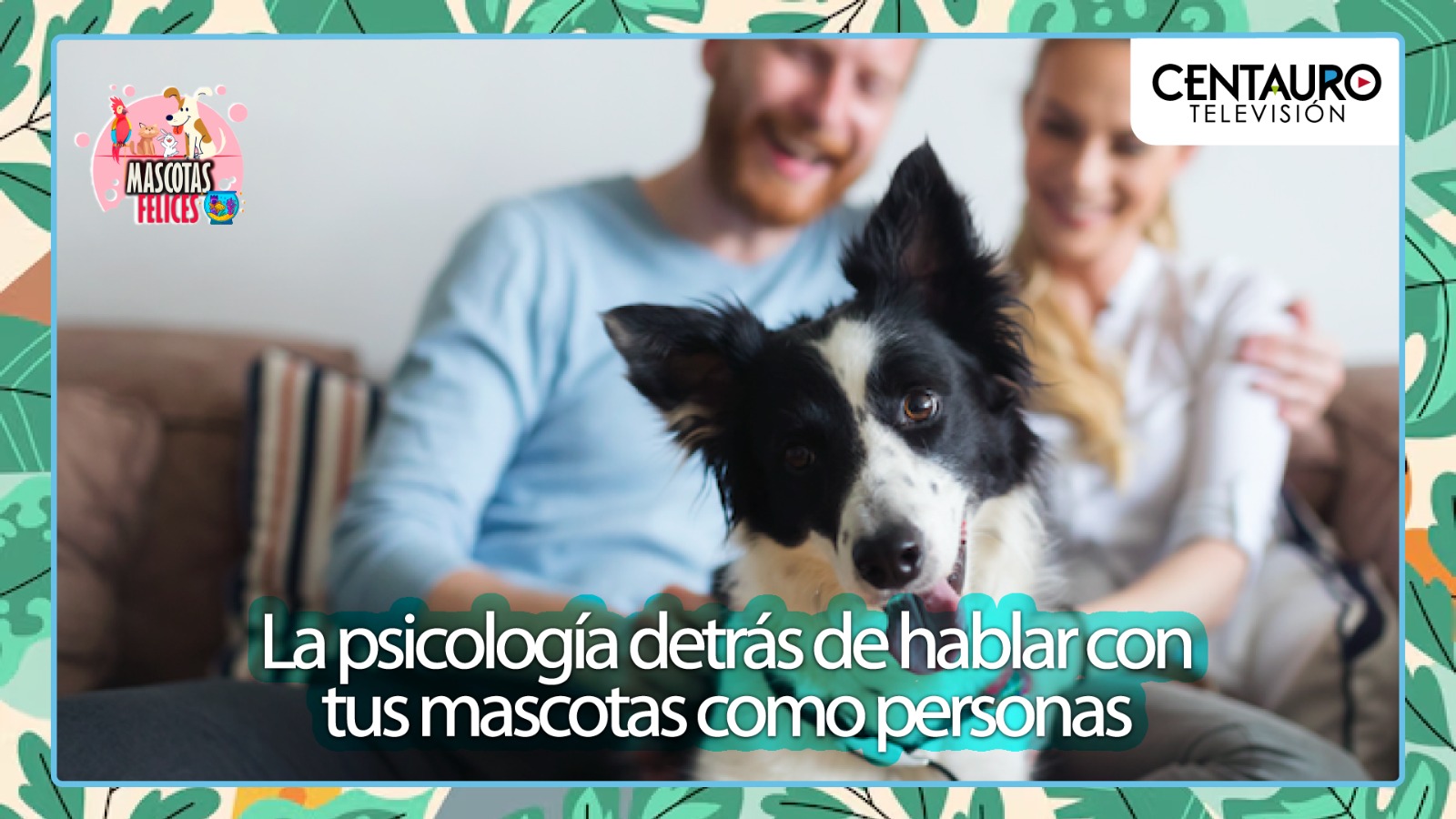 "La psicología detrás de hablar con tus mascotas como personas"