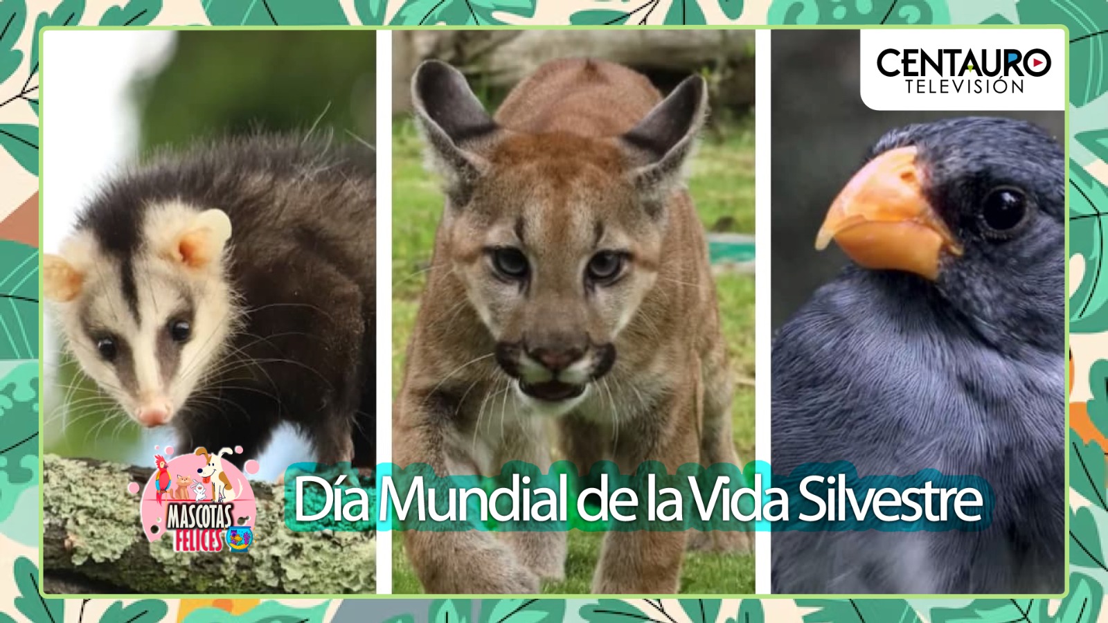 Día Mundial de la Vida Silvestre