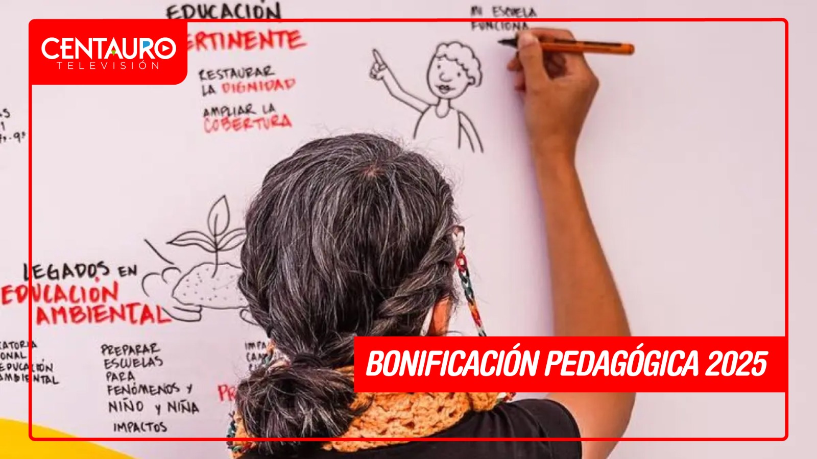 Bonificación pedagógica 2025: