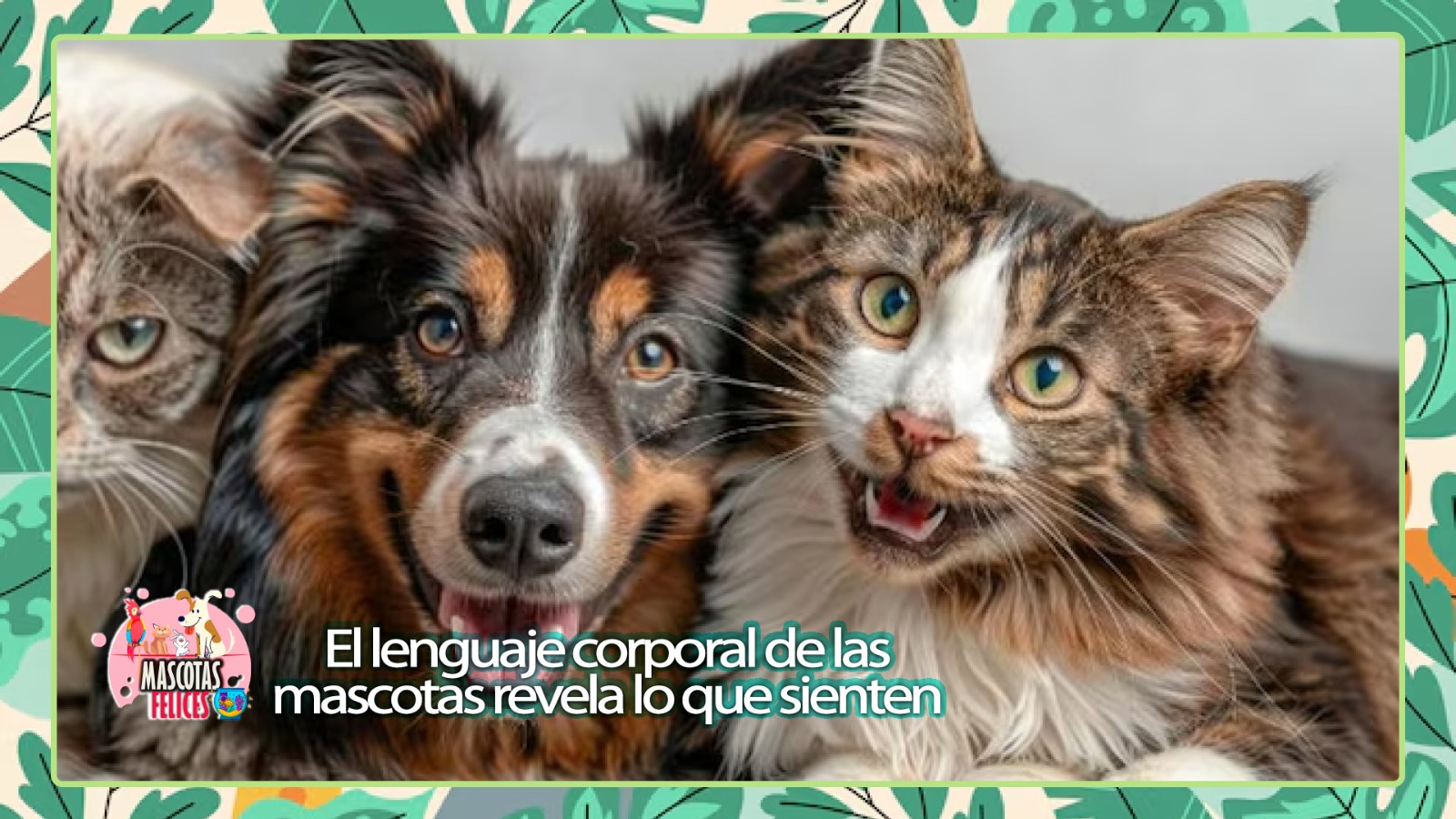 El lenguaje corporal de las mascotas revela lo que sienten