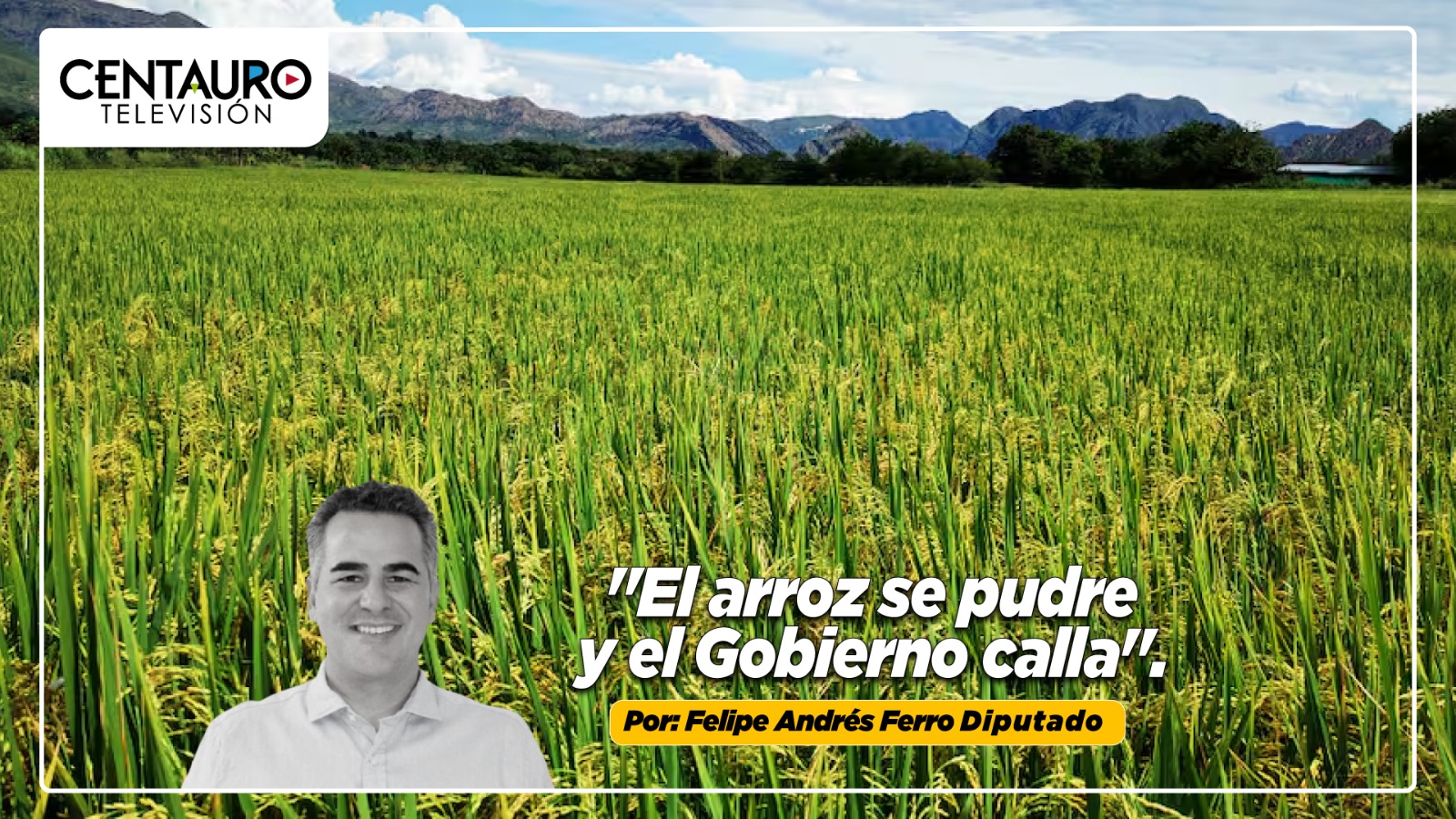 El arroz se pudre y el Gobierno calla