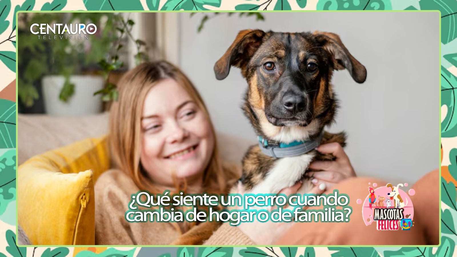 ¿Qué siente un perro cuando cambia de hogar o de familia?