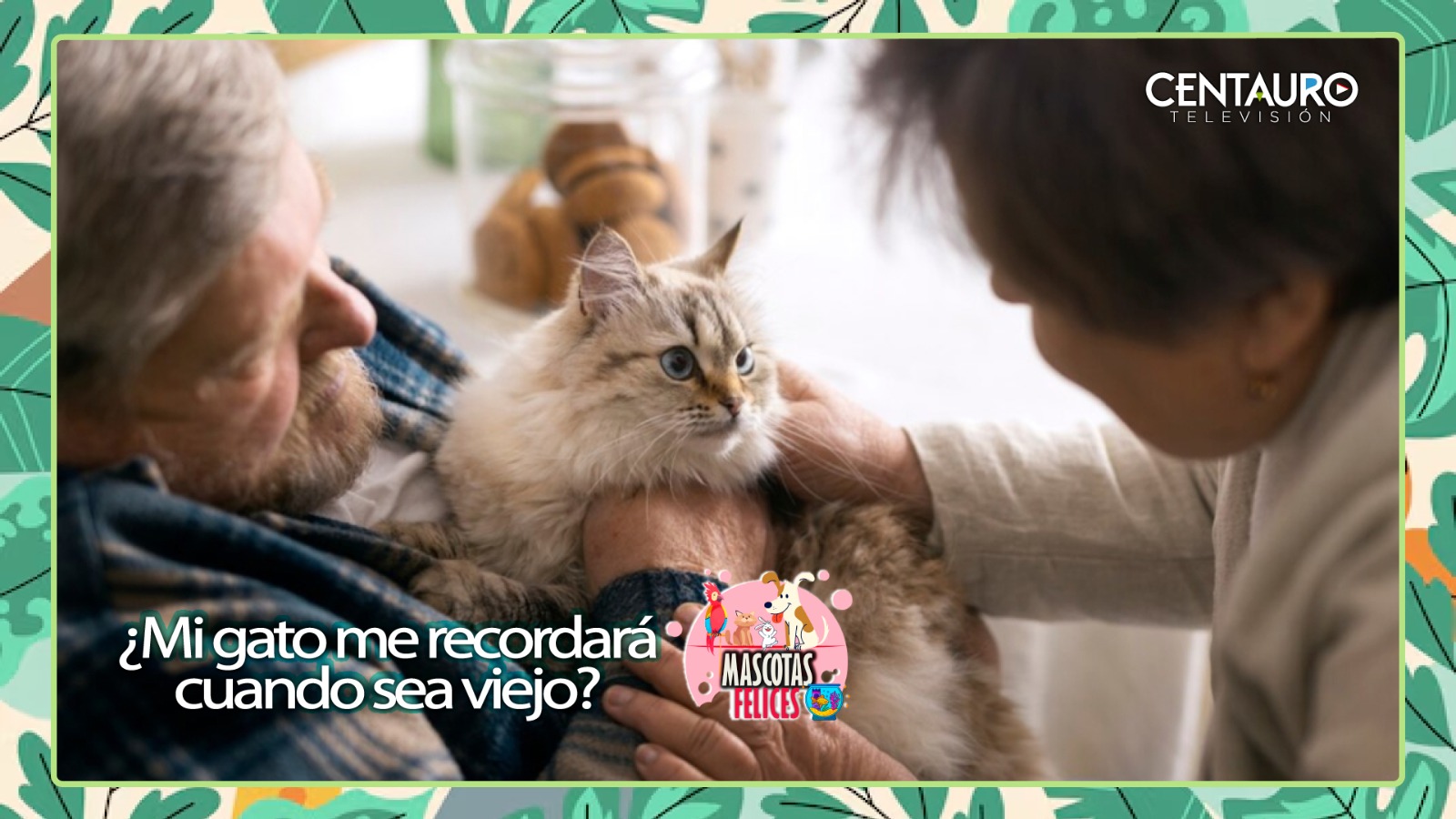 ¿Mi gato me recordará cuando sea viejo?