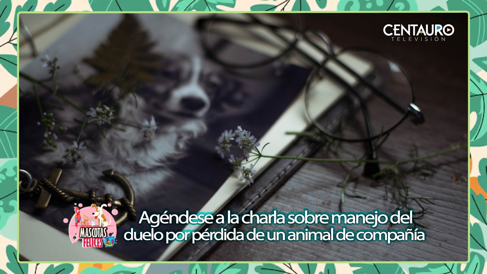 Agéndese y asista a la charla sobre manejo del duelo por pérdida de un animal de compañía